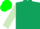 Silk - Dark green, light green sleeves, green cap