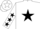 Silk - White, Black 'RHR' and Star, Multi-Colored Stars on Sleeves