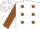 Silk - WHITE AND BROWN HALVES, White and Brown spots, Brown Sleeves