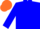 Silk - Blue and Orange Quarters, Blue Sleeves, Orange Cap