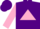 Silk - Purple, pink triangle frame on back, pink sleeves