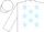Silk - White, light blue stars, white sleeves and cap