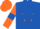 Silk - Royal Blue, Orange star, Orange sleeves, Royal Blue armlets and diamond on Orange cap