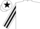 Silk - WHITE, white & black striped sleeves, black star on cap