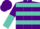 Silk - Purple, Turquoise Hoops & Panel, Purple & Turquoise Diagonal Halved Slvs, Purple Cap