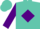 Silk - Turquoise, Purple Diamond, Turquoise 'B', Purple sleeves