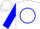 Silk - White, blue 'R' in blue circle, blue bars on sleeves