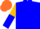 Silk - Blue, Orange Emblem, Gold and Blue Halved Sleeves, Orange Cap