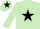 Silk - Light Green, Black star and star on cap
