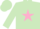 Silk - LIGHT GREEN, pink star, light green cap