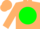 Silk - Tan, tan emblem on green disc, tan cap