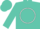 Silk - Turquoise, White Circle,  Black Emblem