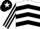 Silk - White, Black chevrons, Black and White striped sleeves, Black cap, White star