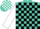 Silk - Turquoise, White Car Emblem, Black Blocks on White Sleeves