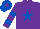 Silk - Purple, Royal Blue star, hooped sleeves, Royal Blue cap, Purple star