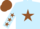Silk - LIGHT BLUE, brown star, brown stars on sleeves, brown cap