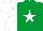 Silk - EMERALD GREEN, white star, white sleeves & cap