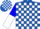 Silk - Royal Blue, White Blocks, Blue and White Halved Sleeves