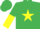 Silk - Emerald Green, Yellow star, halved sleeves