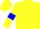 Silk - Yellow sleeves blue armlets yellow chevron cap blue yellow
