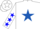 Silk - White, Royal Blue Star, Blue Stars on Sle