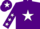Silk - PURPLE, white star & stars on sleeves, purple cap, white star