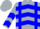 Silk - Silver, Blue 'HWS' and Braces, Blue Chevrons on S