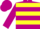 Silk - Violet, Yellow Hoops, Yellow 'C' on Back