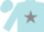 Silk - Powder blue, grey star, powder blue and silve