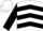 Silk - White, black chevrons, navy 'ces' on sleeves