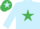 Silk - Light blue, emerald green star, light blue sleeves, emerald green cap, light blue star