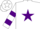 Silk - White, purple star, two purple hoops on sleeves