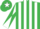 Silk - Emerald green and white stripes, White sleeves, Emerald Green diabolo, emerald green cap, white star