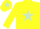 Silk - Yellow, light green star, Yellow sleeves, Yellow cap, Light green star
