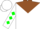 Silk - White, brown yoke, green shamrock, red heart and green diamonds on sleeves, green and white cap