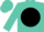 Silk - Turquoise, black disc, turquoise cap