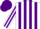 Silk - White body, purple striped, white arms, purple striped, purple cap