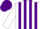 Silk - White and Purple stripes, White sleeves, Purple cap