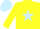 Silk - Yellow, Light Blue star, Light Blue cap