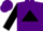 Silk - Purple, black triangle, black arrows on sleeves, purple cap