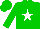 Silk - Green, white star, green cap