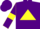 Silk - Purple, yellow triangle, yellow armlets on sleeves, purple cap