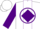 Silk - White, purple diamond band on front, purple circle 'g' on back, purple diamond stripe & cuffs on sleeves