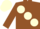 Silk - Brown body, cream large spots, brown arms, cream cap