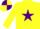 Silk - Yellow, purple star, quartered cap