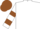 Silk - White, brown circled 'sd', brown bars on sleeves, brown cap