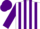 Silk - White, purple ' da', purple stripes on sleeves, purple cap