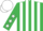 Silk - Emerald Green and White stripes, Emerald Green sleeves, White stars, White cap