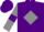 Silk - Purple, Grey diamond and sleeves, Purple armlets and cap