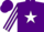 Silk - Purple, 'cf' on white star, white star stripe on sleeves